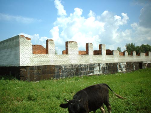 Строительство  Cеменовской школы будет возобновлено